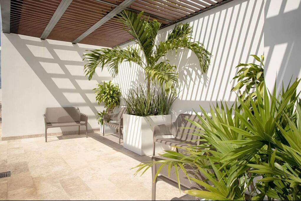Ipana 516a Premium 1bdr 3 Min Walk To The * Playa del Carmen